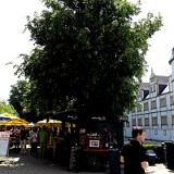 1405S 04 Neuhaus Bierfest